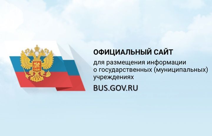 Работа с сайтом bus.gov.jpg